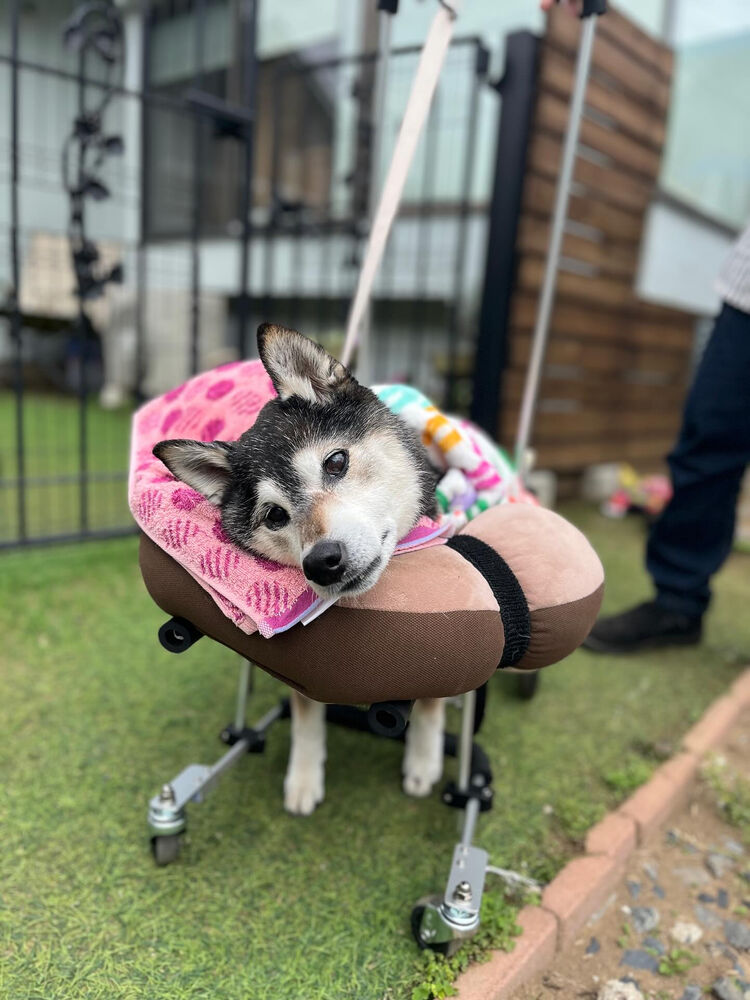 ブログ画像