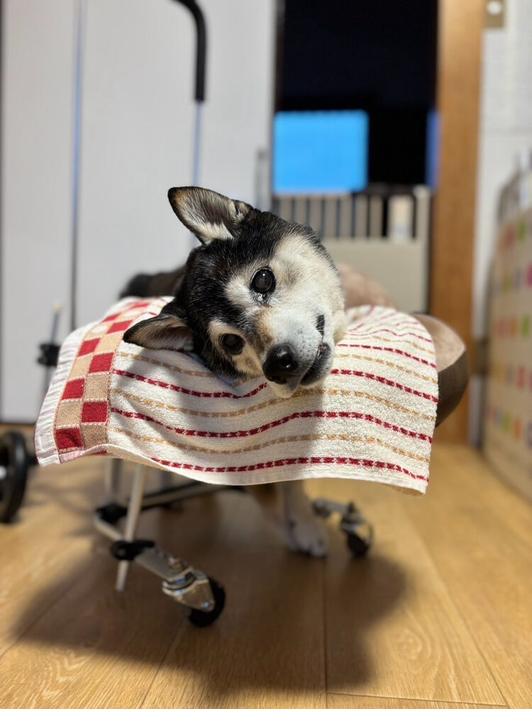 ブログ画像