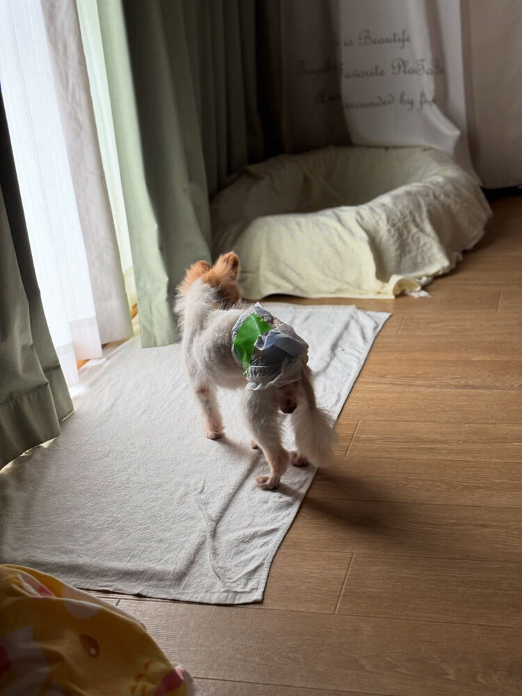 ブログ画像