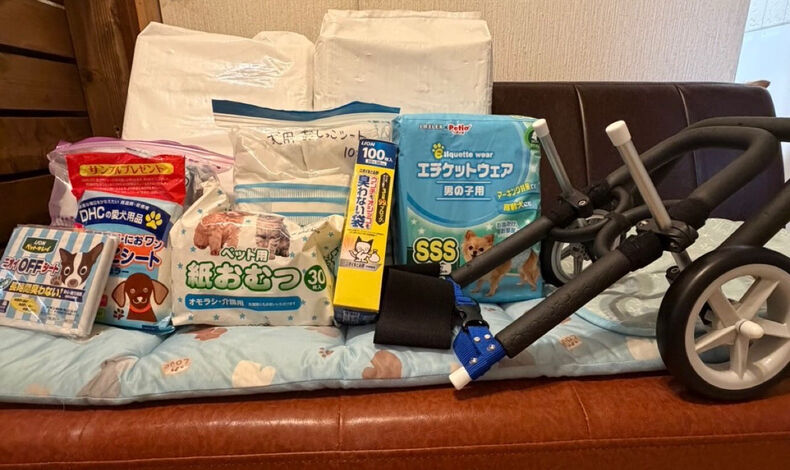画像5681：温かいご支援、ありがとうございました