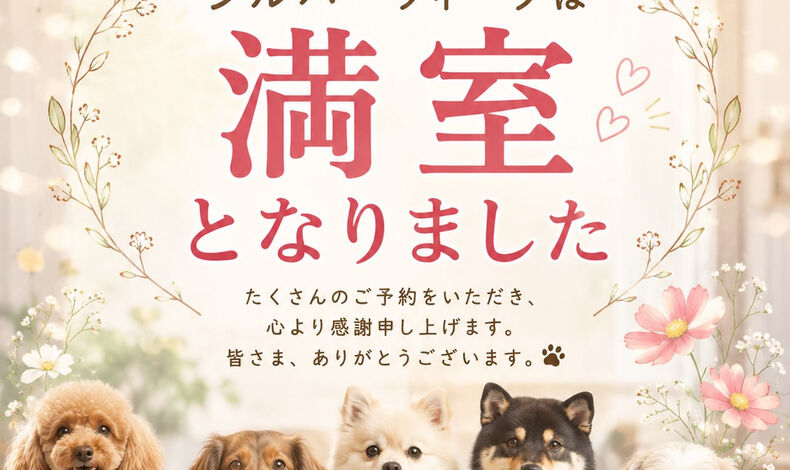 画像5689：いつもご利用くださりありがとうございます