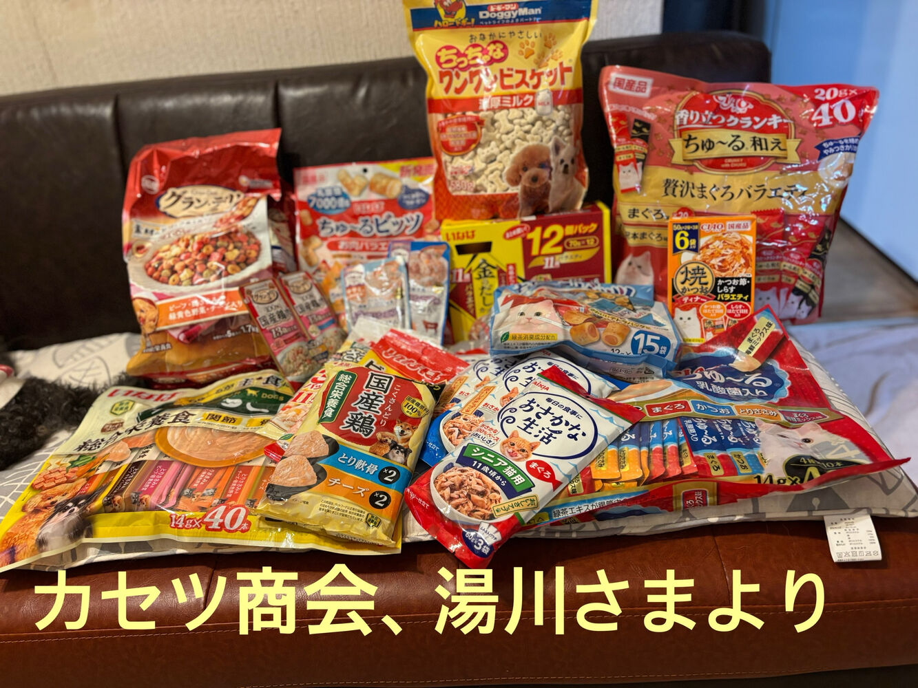 ブログ画像