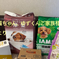 ブログ画像