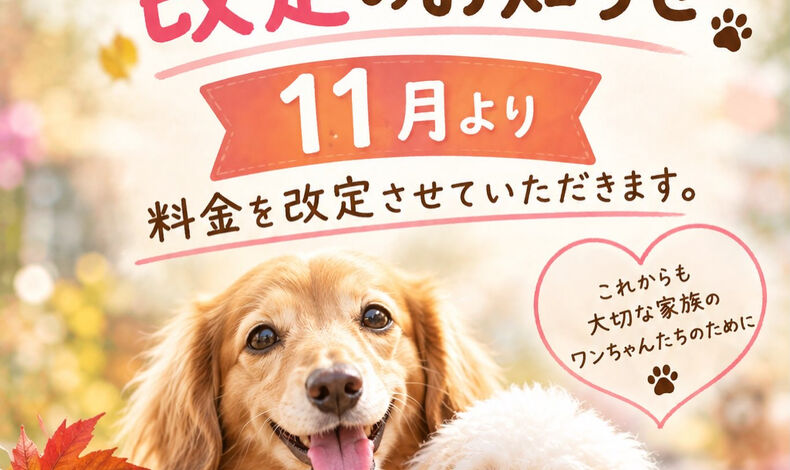 画像5694：【ご利用料金改定のお知らせ】