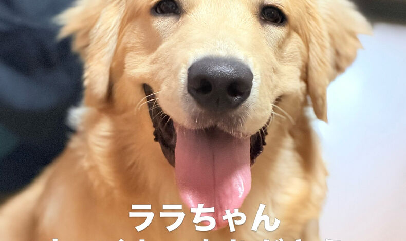 画像5696：以前からふみちゃん家をご利用くださっていたご家族が、新しい家