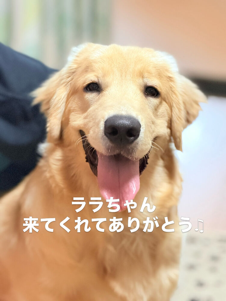 ブログ画像