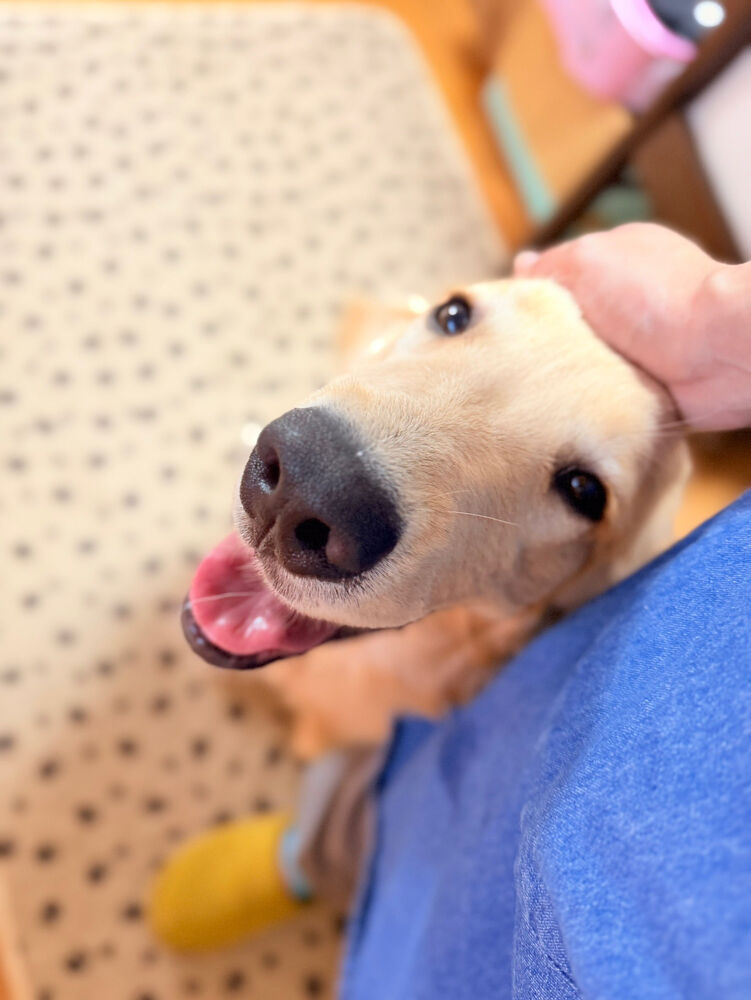 ブログ画像
