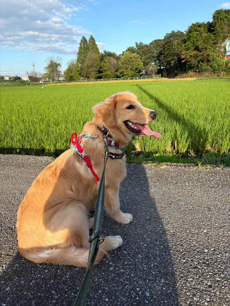 ブログ画像